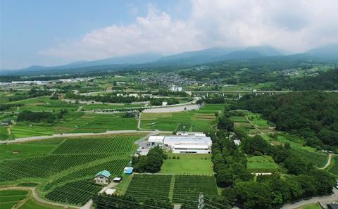 ソラリス 千曲川 メルロー