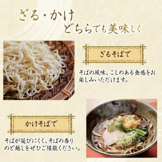 風穴そば 乾麺 つゆ付きセット 10人前 蕎麦 ソバ 長野 お土産 ご当地 お取り寄せ 麺類 信州そば 麺類