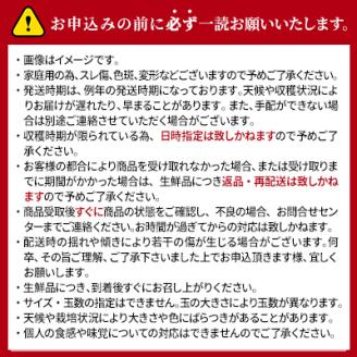 シナノスイート 秀品 約5kg  長野県産 果物類 林檎 りんご リンゴ フルーツ 小諸市