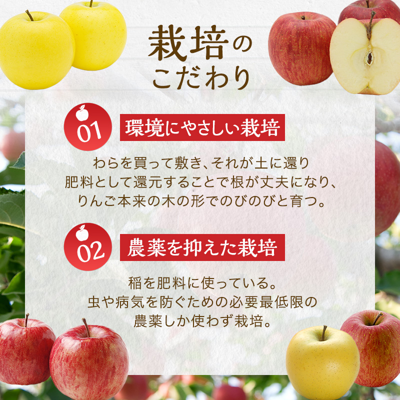 信州産りんご６品種のジュース詰合せ