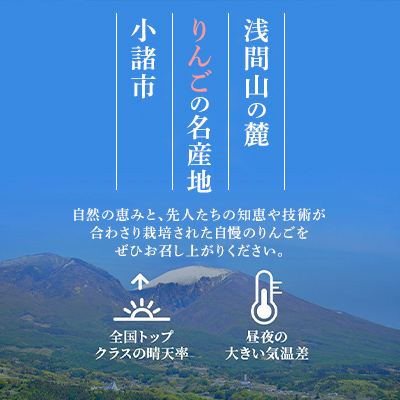 シナノゴールド 家庭用 約10kg  長野県産 果物類 林檎 りんご リンゴ フルーツ 小諸市