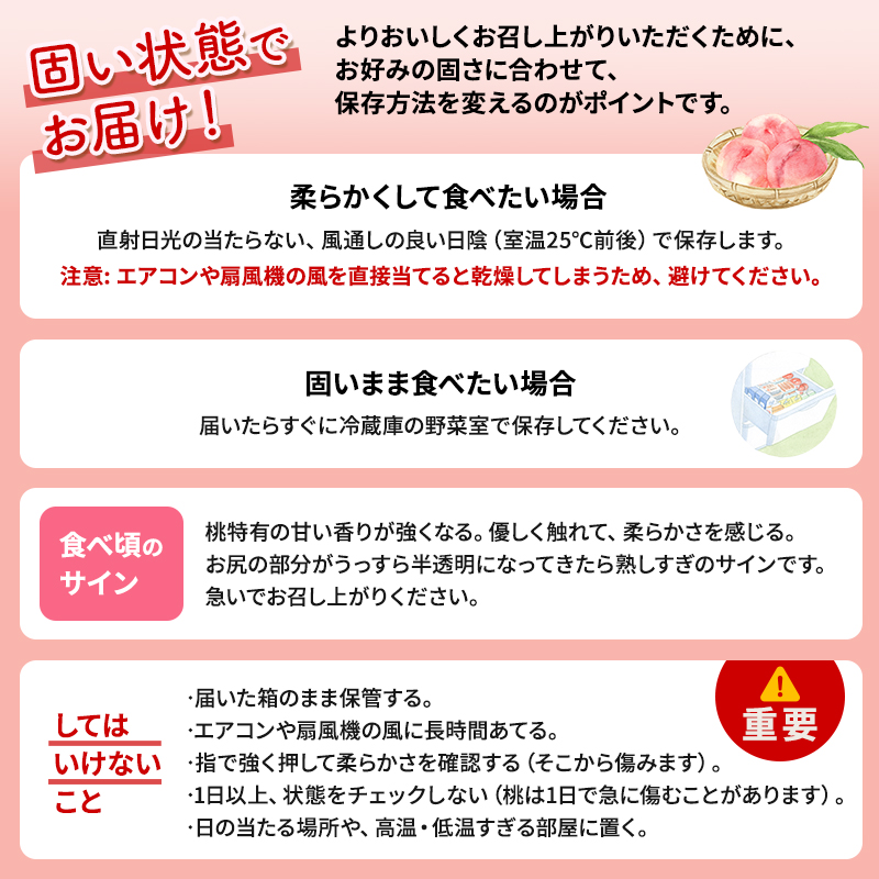 2026年発送 先行予約 「浅間水蜜桃プレミアム」 もも あかつき 秀品 約2kg 5～9玉 ふるさと納税 果物 桃 フルーツ モモ 果肉 長野県産 小諸市
