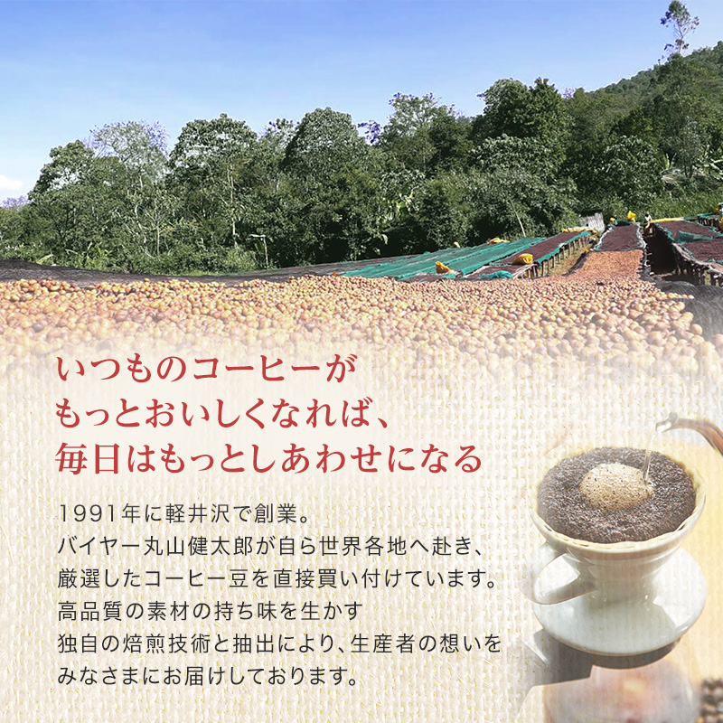 コーヒー 丸山珈琲 CLASSIC 1991 Iced coffee 1000ml 2本セット 小諸市 お取り寄せ