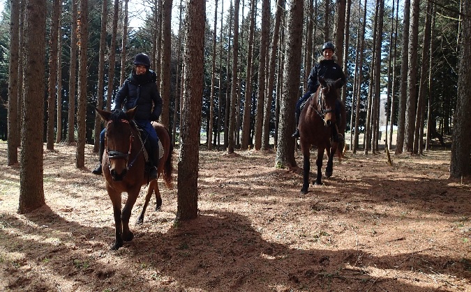 まきば軽井沢　4級乗馬ライセンス取得コース