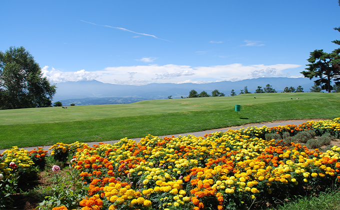 小諸高原ゴルフクラブ　ペアプレー券