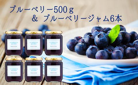 ブルーベリー500g＆ブルーベリージャム6本セット