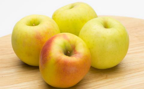 宮嶋林檎園の葉取らずりんご　ぐんま名月　約5kg