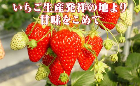 小諸産いちご4パック詰め合わせ