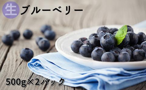 信州小諸産【生】ブルーベリー500g×2パック