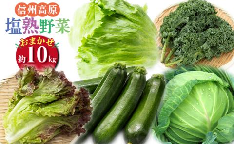 信州高原塩熟野菜 約10kg お任せ