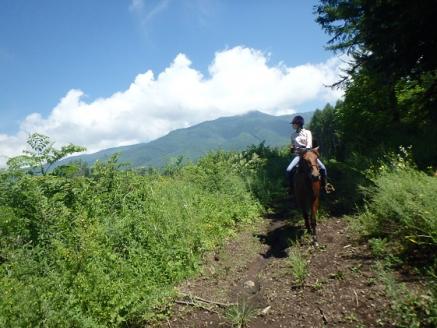 まきば軽井沢  どーんと150分乗馬体験  1名様