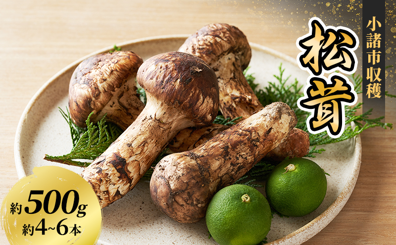 小諸市収穫　松茸　約500g
