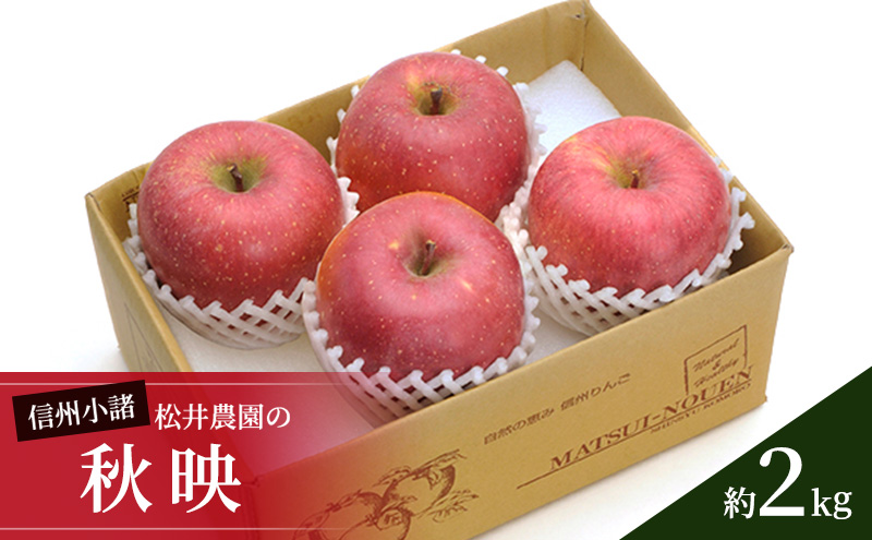 信州小諸 松井農園の秋映 約2kg 果物類・林檎・りんご・リンゴ