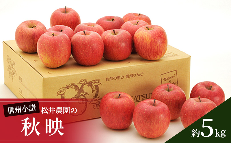 信州小諸　松井農園の秋映　約5kg 果物類・林檎・りんご・リンゴ