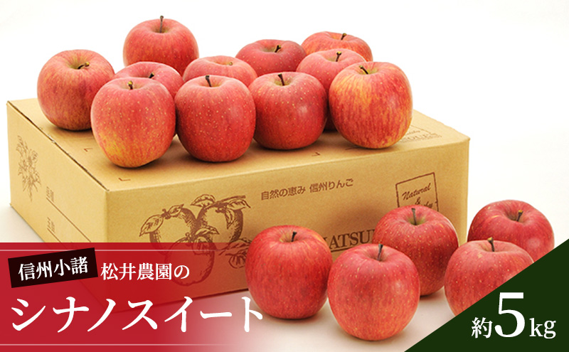 信州小諸　松井農園のシナノスイート　約5kg 果物類・林檎・りんご・リンゴ