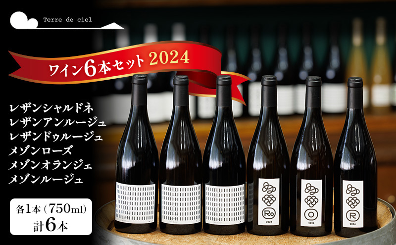 ワイン 6本セット 赤ワイン 白ワイン お酒 酒 アルコール 長野県 小諸市 小諸 ギフト プレゼント