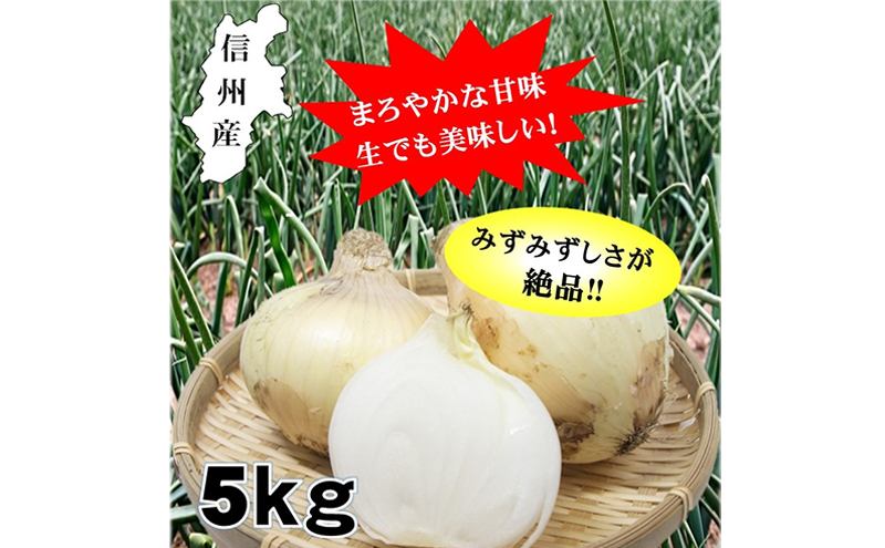 小諸産減農薬栽培・玉ねぎ約5kg