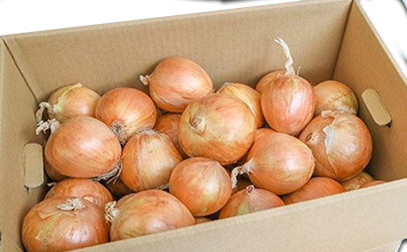 小諸産減農薬栽培・玉ねぎ約10kg