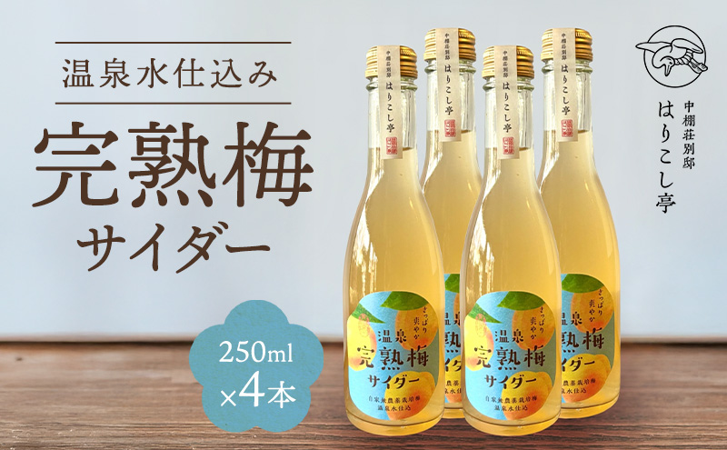 梅サイダー　250ml×４本　中棚温泉　長野　信州　小諸