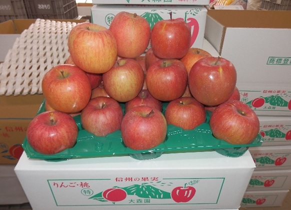 大森園のりんご(サンふじ)　特秀品　約5kg