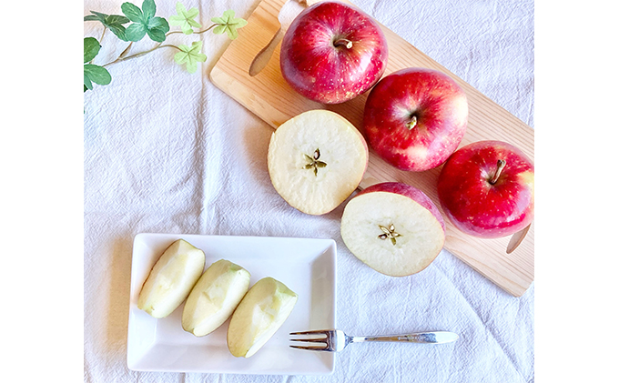 信州シナノスイート 約3kg 松澤農園 果物類 林檎 りんご リンゴ