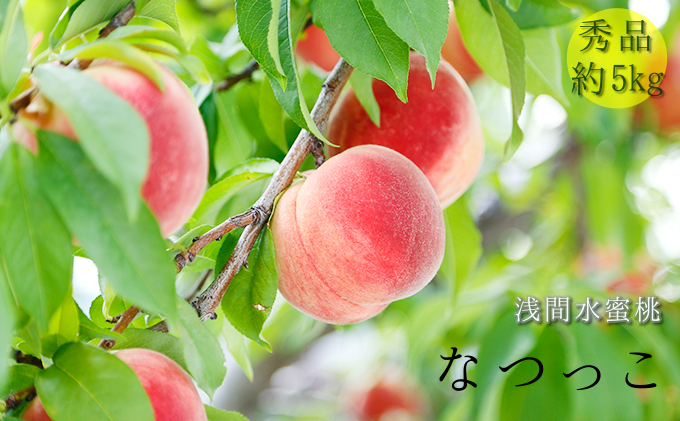 浅間水蜜桃 みつおかのもも なつっこ  秀品 約5kg 長野県産
