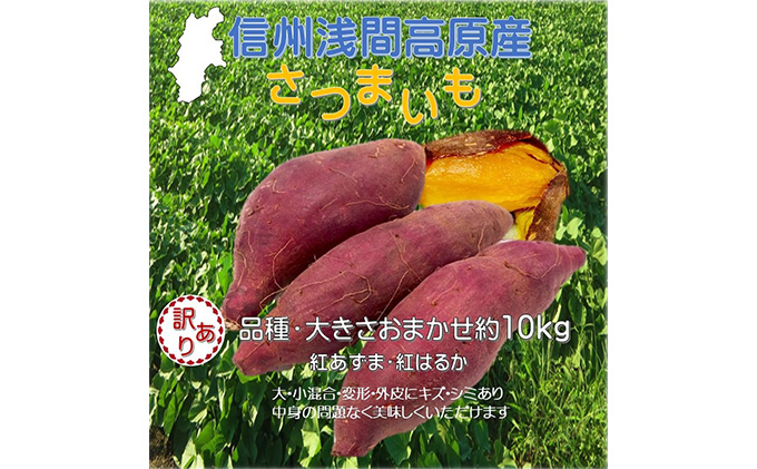 さつまいも 約10kg 食べ比べ