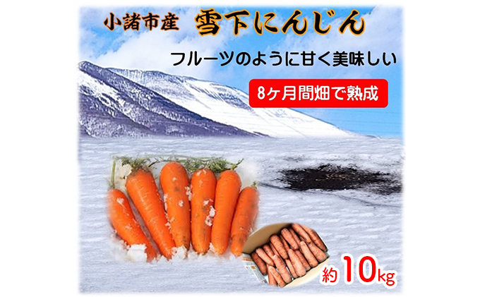 小諸産 雪下にんじん（土つき）約10kg
