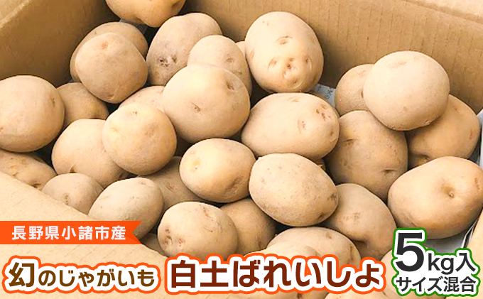 幻のじゃがいも　白土ばれいしょ