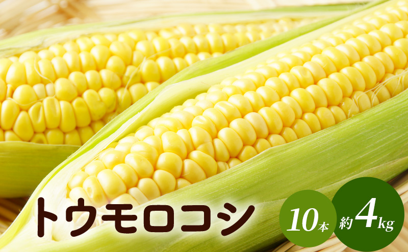 トウモロコシ（味来）10本　約4kg 野菜 コーン 甘い 生でも食べられる 食材 国産 国産野菜 グルメ