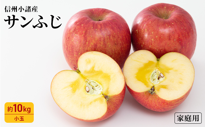 信州小諸産 サンふじりんご 秀品 約5kg 長野県産 果物類 林檎 りんご 
