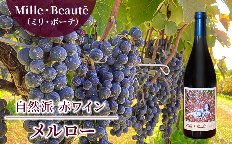 Mille・Beaute(ミリ・ボーテ)メルロー 無濾過 赤ワイン