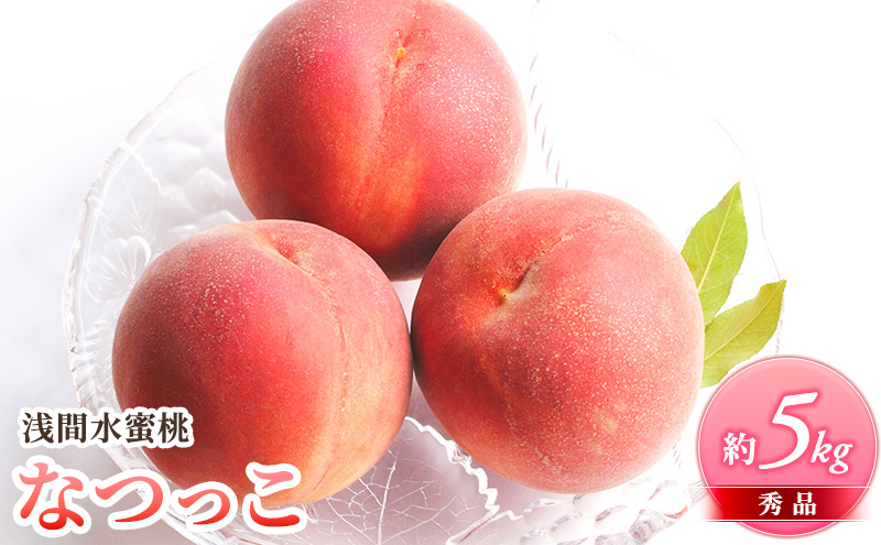 ふるさと納税 2025年発送 浅間水蜜桃 もも なつっこ 秀品 約5kg 長野県産 小諸市 桃 果物 もも フルーツ モモ 果肉
