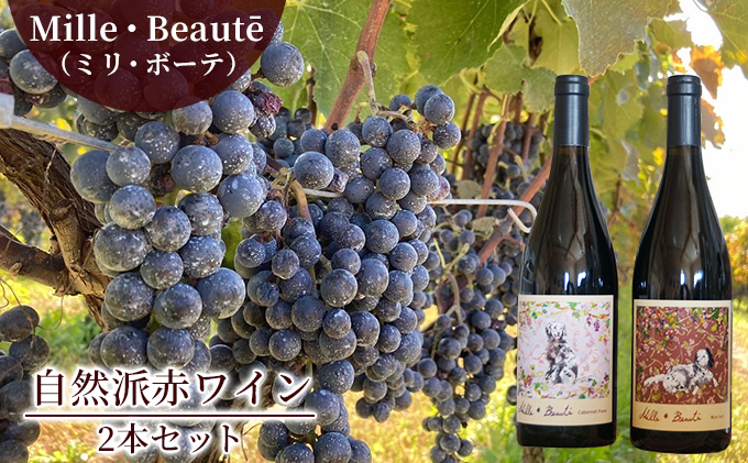 Mille・Beaute (ミリ・ボーテ)無添加 無濾過 赤ワイン 2本セット