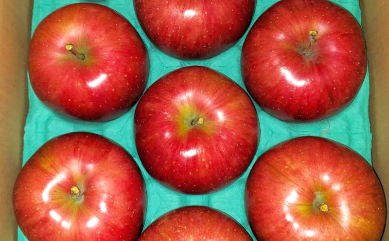 つがる（贈答用） 約3kg（8玉?12玉入り）トメズファーム　りんご　長野　信州　小諸　果物　フルーツ