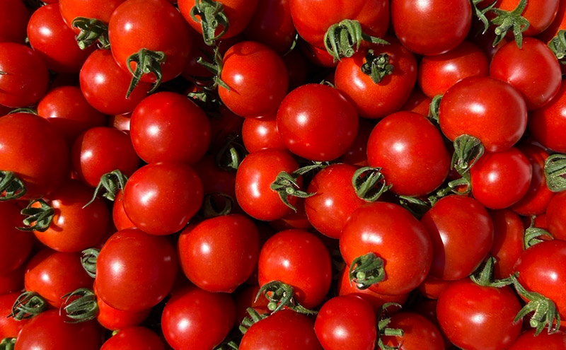 スイートフルージュ 約2kg アイビーファーム ミニトマト 長野 信州 小諸 産地直送