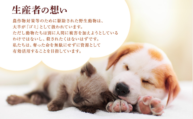 小諸産 KomoroPremium 鹿肉ウエットフード（総合栄養食）お試し5袋（100g/袋）