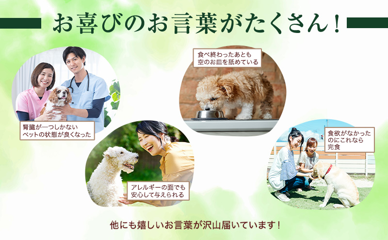 小諸産 KomoroPremium 鹿肉ウエットフード（総合栄養食）お試し5袋（100g/袋）