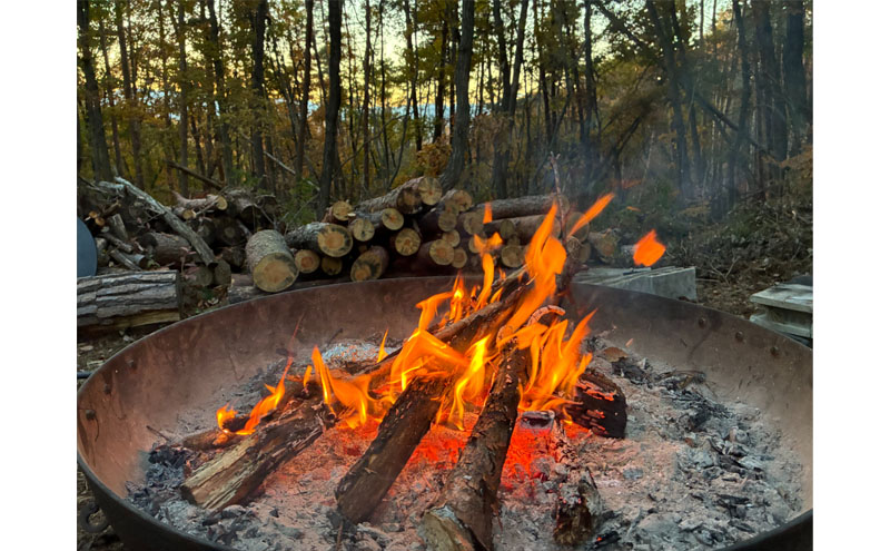 癒しの森で焚き火と焼き芋体験（1名様分）～「町に近い森」がある小諸にて　体験 チケット 自然 リフレッシュ