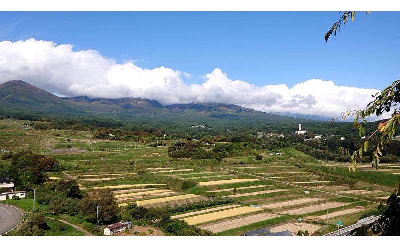 【古久庄 村松商店】お米マイスターの気まぐれお任せ小諸米 3ヶ月定期便（5kg）信州 長野 ごはん ご飯 コメ コシヒカリ あきたこまち つきあかり 風さやか ひとめぼれ ゆうだい24 ブレンド米