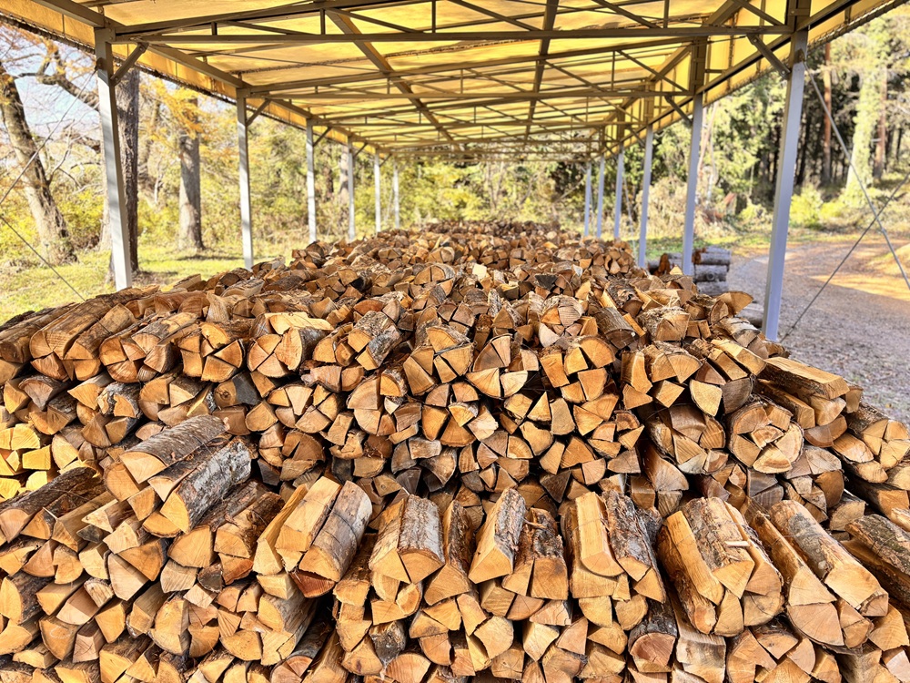 薪 信州産 広葉樹の薪 薪1箱 約20キロ 薪長さ：35cm｜伊那 薪 松 キャンプ 伊那産 広葉樹 暖かい アウトドア おすすめ ふるさと納税【008-28】