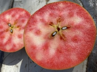 りんご 赤果肉りんご なかののきらめき 約2.5kg ｜ りんご 林檎 フルーツ 果物 なかののきらめき 赤果肉 こだわり 伊那 ふるさと納税 信州 長野県 【012-72】