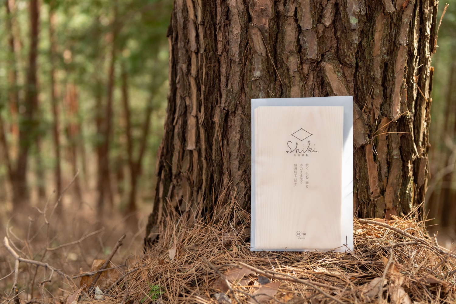 信州経木Shiki（short20/middle20+紐付）｜信州 伊那 包装材 お弁当 弁当 保存 包み ラッピング 森 森林 木 アカマツ 経木 伝統 料理【007-07】