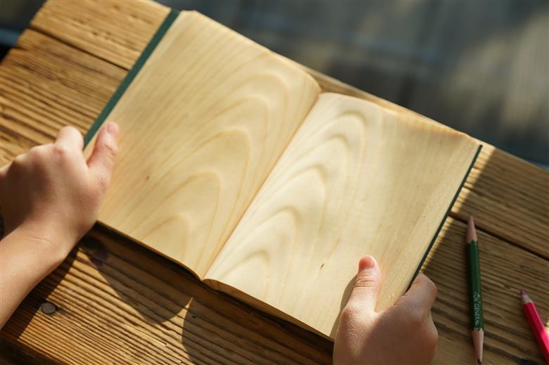 Shikibun 木のノート | 伊那市 信州 ふるさと納税 木材 木 ノート 文房具 経木【010-02】