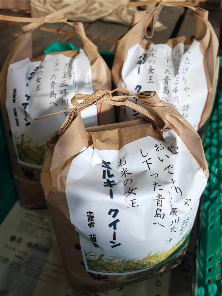 米 5kg ミルキークイーン 令和7年産 市場の目利きが選ぶお米 5kg ミルキークイーン | 米 お米 主食 精米 白米 ミルキークイーン 長野県 伊那市 信州産 2025年10月上旬から発送 【014-37】