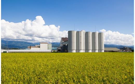 米 10kg コシヒカリ 令和7年産 JA上伊那 コシヒカリ 今ずり米 5kg 2袋 長野 上伊那産 お米 長野県産 こしひかり 10キロ 白米 精米 信州産 特産 産地直送 おすすめ こめ コメ おこめ 送料無料 長野県 伊那市【034-10】