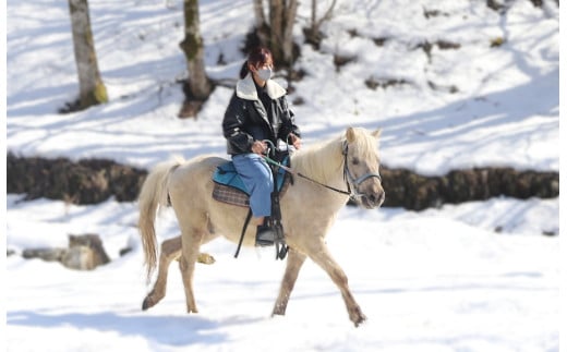 【055-12】里山で乗馬体験（馬のブラシがけと乗馬でむらをお散歩）1人から5人まで可能