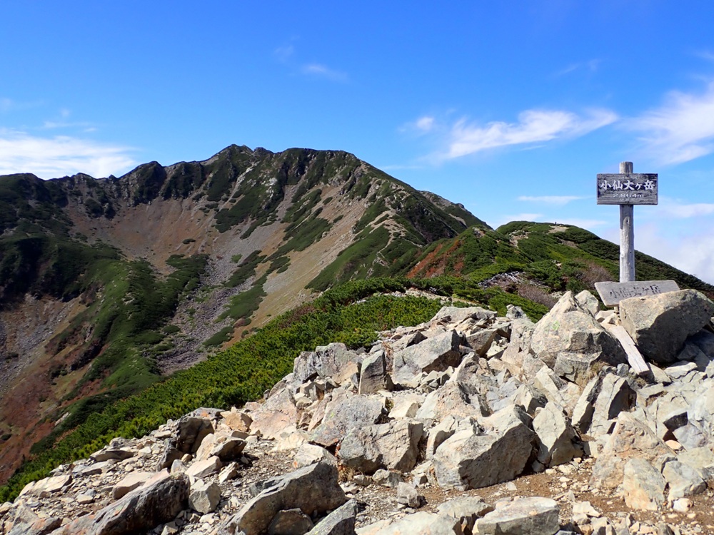 登山 南アルプスまもり隊・登山環境整備への寄附（登山者協力証1枚）2,000円 | 登山 環境 整備 登山愛好家 証 山岳 アルプス 南アルプス 守りたい 信州 長野 伊那 【002-02】