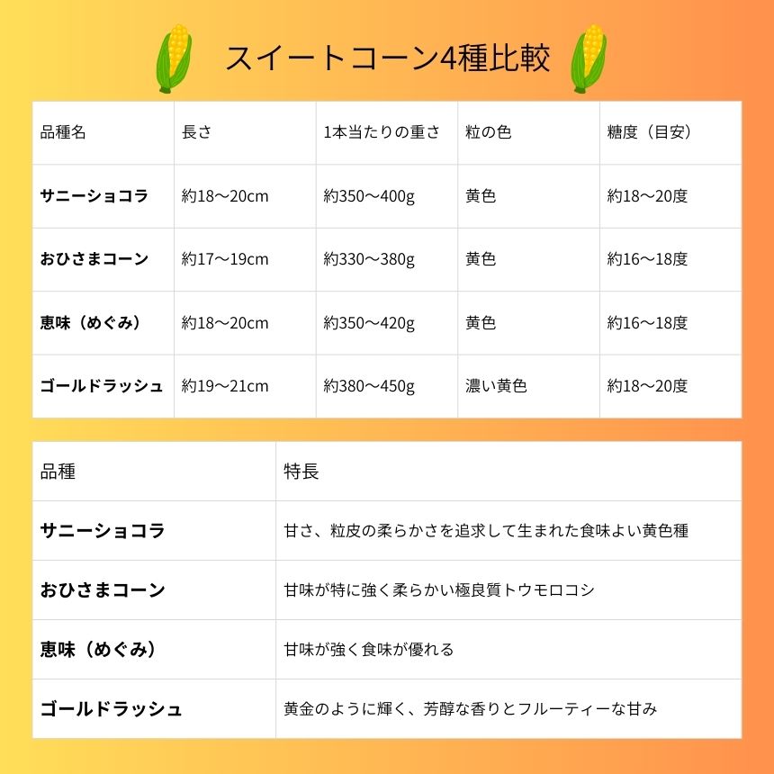 とうもろこし 伊那市産 スイートコーン 約5kg 2Lサイズ 12本入り 恵味 めぐみ 【013-52】