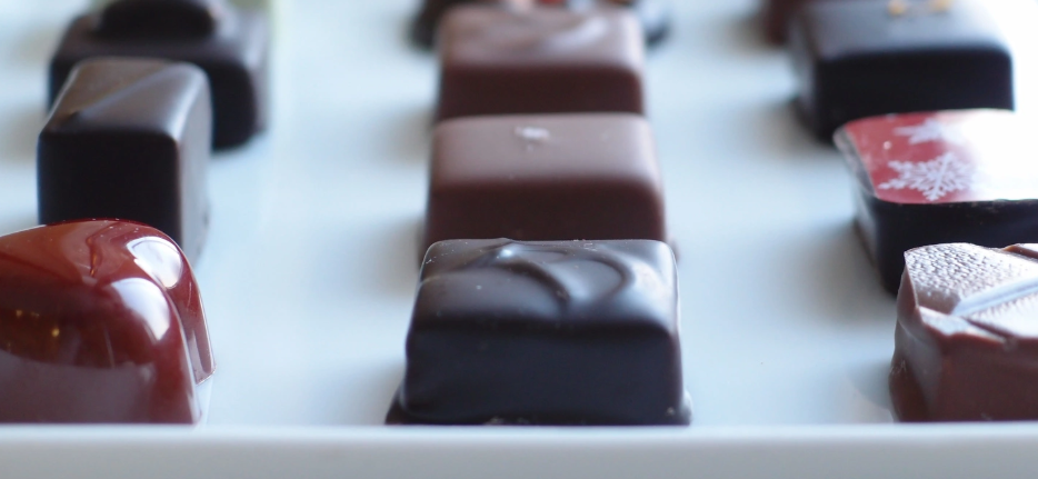 チョコレート ショコラ 詰め合わせ ギフト ガトーショコラ 塩チョコ テラコッタ 板チョコ ボンボンショコラ ｜ スイーツ チョコレート ショコラ ドルチェカリーナ パティシエ 人気 詰め合わせ セット 洋菓子 長野県 伊那市 【016-17】